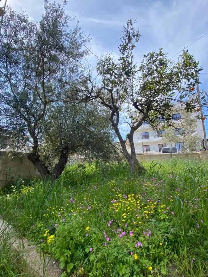Pole Estate Saranda